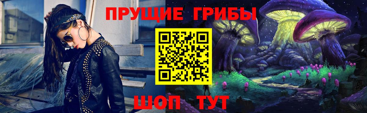 Галлюциногенные грибы Psilocybine cubensis Десногорск