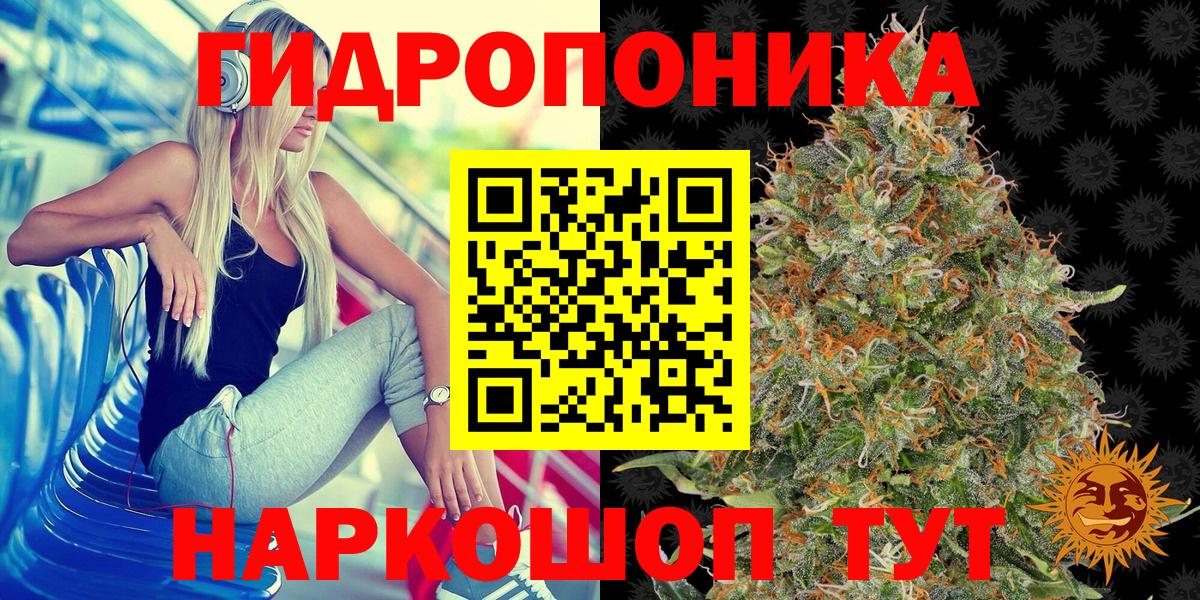 Бошки Шишки SATIVA & INDICA  Вход с VPN  Бошки Шишки THC 21%  Десногорск 